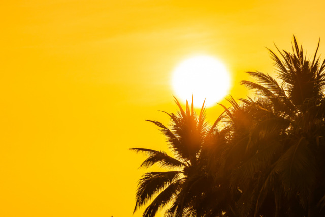 Sarzana avvia il Piano Verde contro le isole di calore