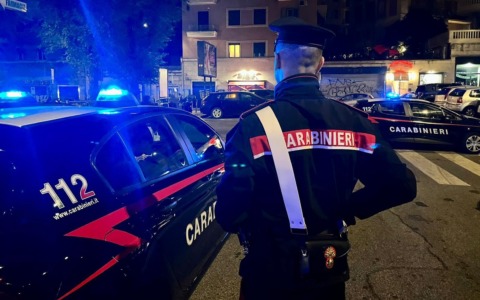 Cane trovato morto a Bolano, denunciato il proprietario