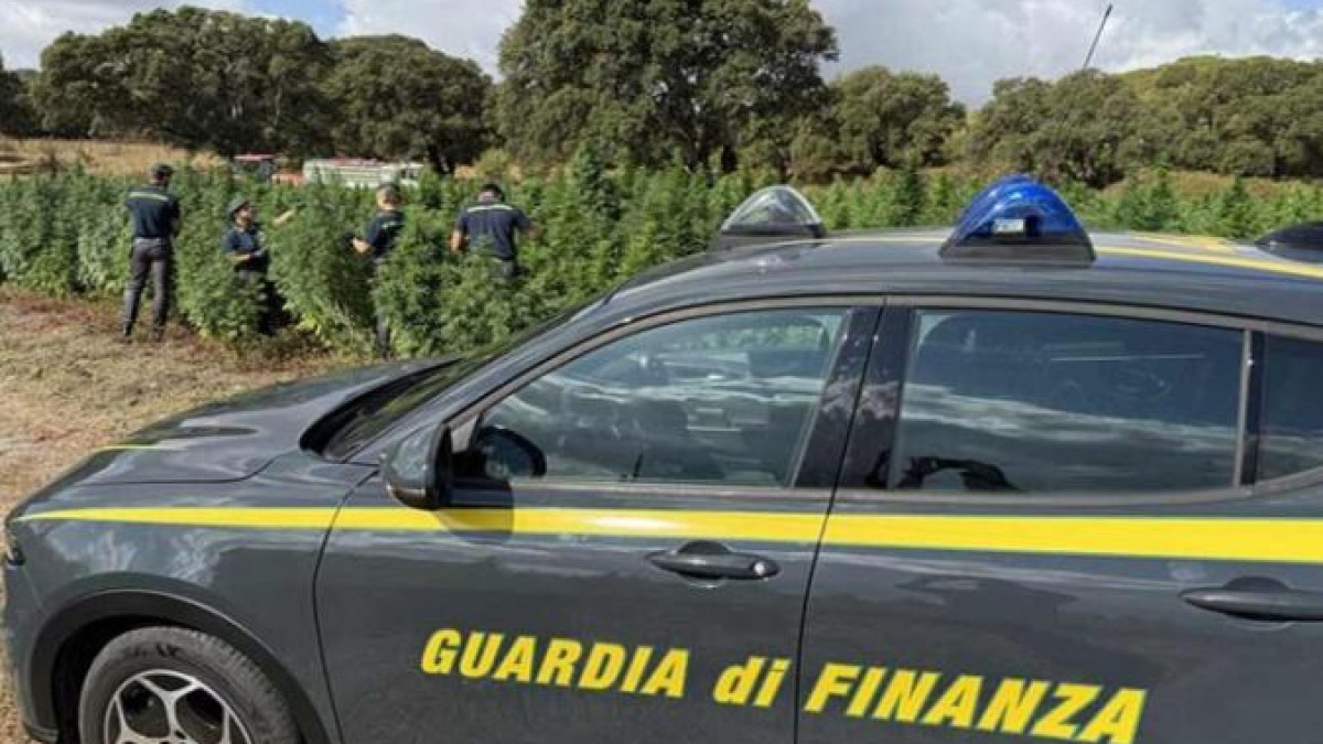 Guardia di Finanza, fotografia illustrativa pubblicata da La Spezia Netweek